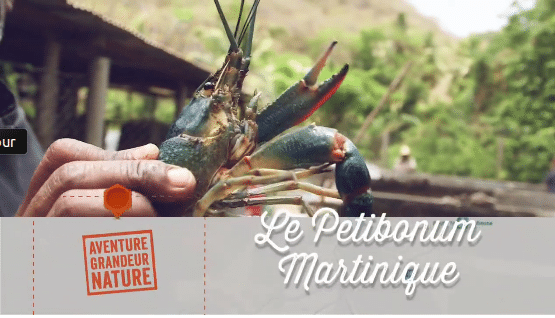 Restaurant Petitbonum en Martinique