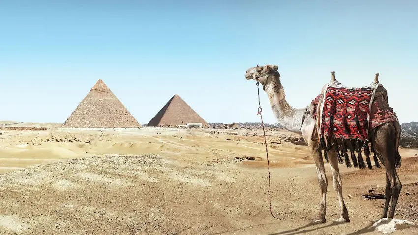 Partir en Egypte: les période et moments pour visiter les sites touristques