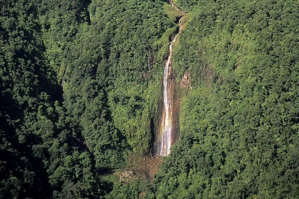 Visiter la parc national de Guadeloupe, ce qu'il faut faire et voire , randonnée