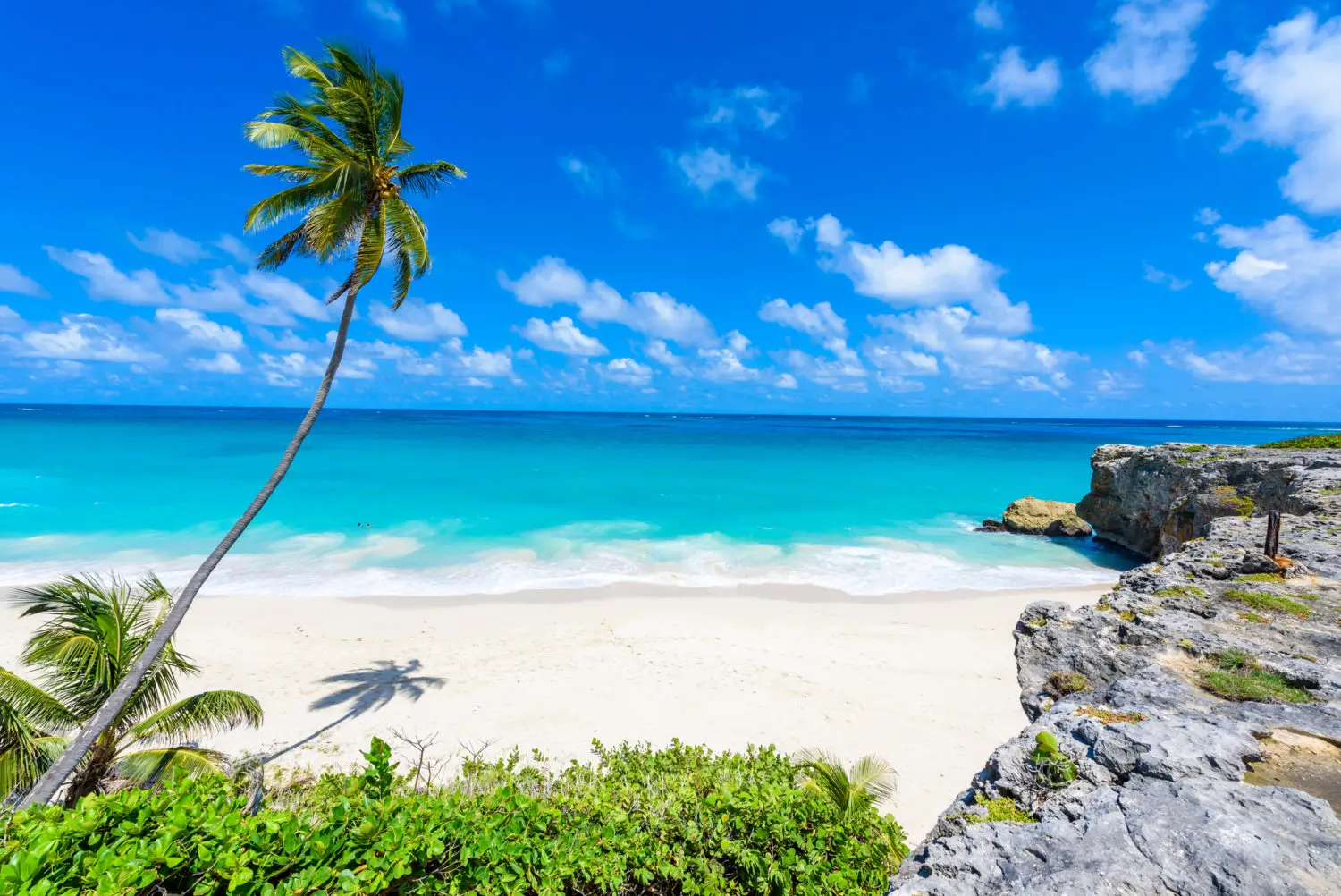 Que faire, que visiter à la Barbade: archipel des Caraïbes aux Petites Antilles