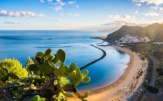 Paysage de Tenerife : île touristique de l'archipel des Canaries. Au premier plan cactus et vue sur une chaîne de montagnes en arrière plan.