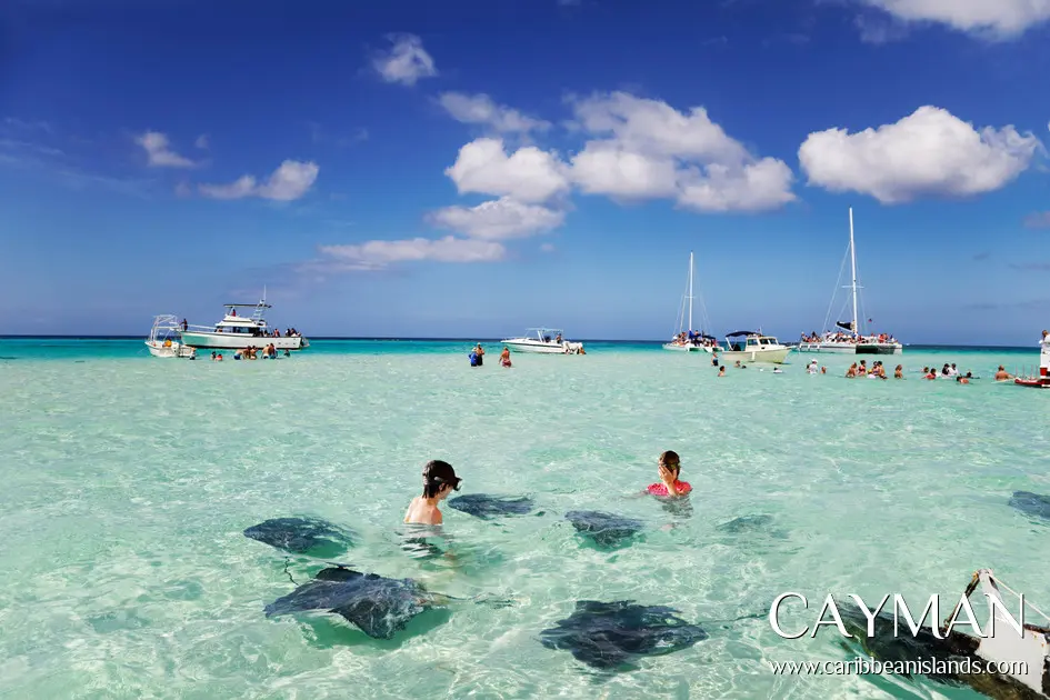 Iles Caïmans : croisière et excursion pour nager avec les raies à la plage. 