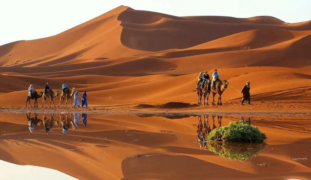 Circuit touristique dans le desert du Sahara au Maroc : effet optique mirage sur le sable  . 