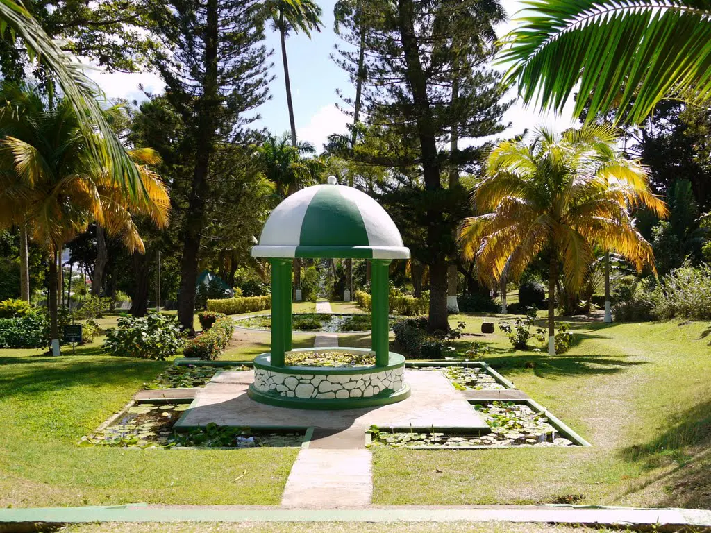 Visiter Sainte Vincent les Greandines et faire une excursion au Jardin Botanique de Saint Vincent . 