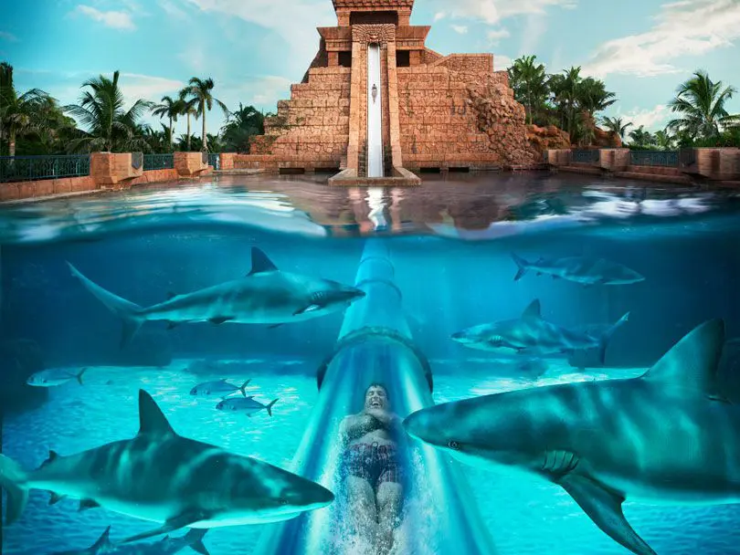 Parc Aquaventure : immense piscine avec requin face au temple Maya aux Bahamas . 