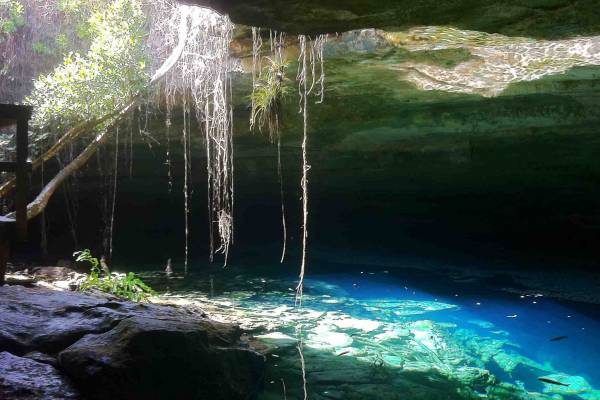 Faire une excursion aux Bahamas et visiter les grottes sous marine au Parc Lucayan . 