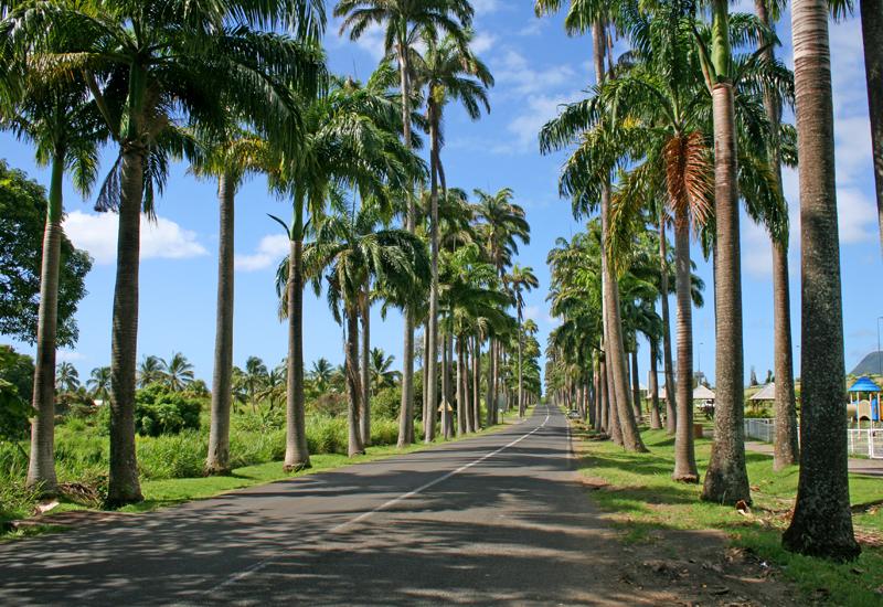 Visite de l'allée Dumanoir en Guadeloupe à Capesterre Belle eau  située en région sud Basse Terre . C'est une belle allée bordée de palmier sur tout le long de la route .  