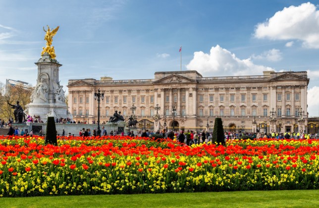 Buckingham Palace : faire la visite complète de ce palais de Londres. 