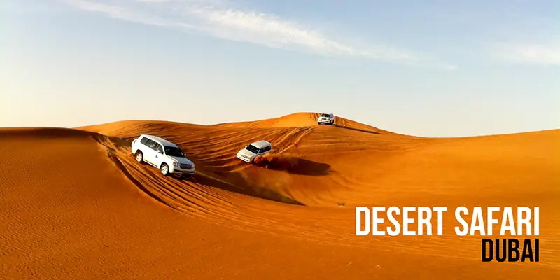 Faire un safari dans le désert de Dubai : une excursion en 4X4,  quad ou dromadaire et chameau
