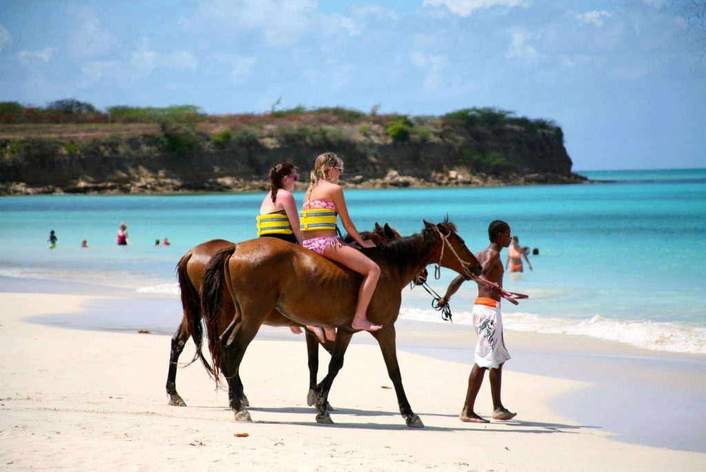 Excursion Guadeloupe à Cheval
