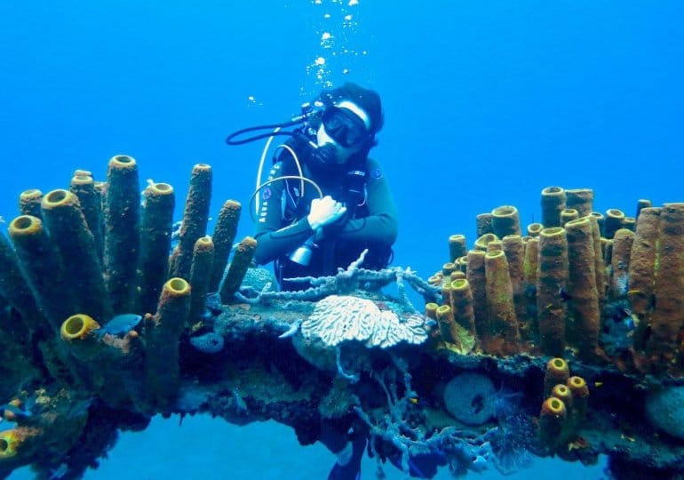 faire de la plongée sous marine en Guadeloupe à Bouillante : réserve Cousteau