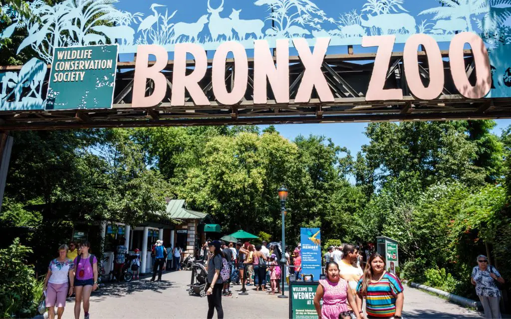 Que faire à New York : visiter le Zoo du Bronx