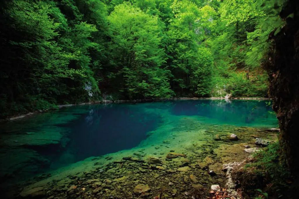Risnjak : parc national à visiter en Croatie