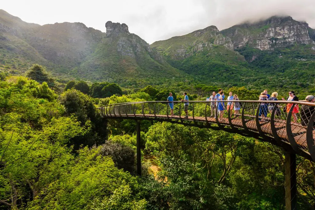 Visiter le jardin botanique de Kirstenbosch à Cape Town