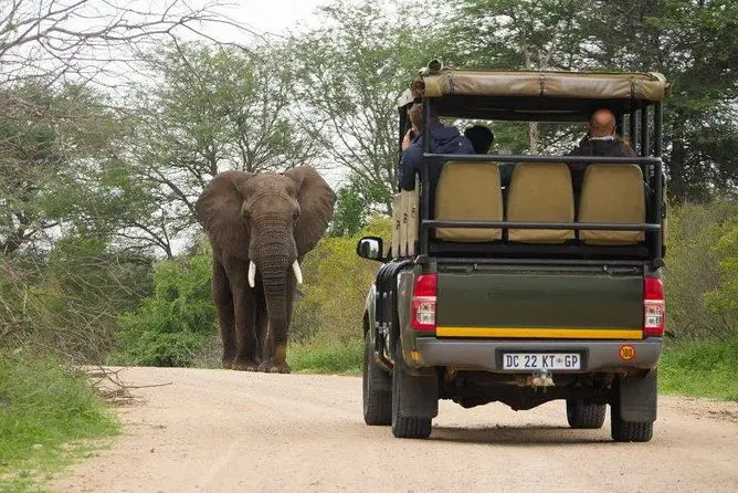 Visiter le plus garnd parc national d'Afrique du sud , le patrc national Kruger 