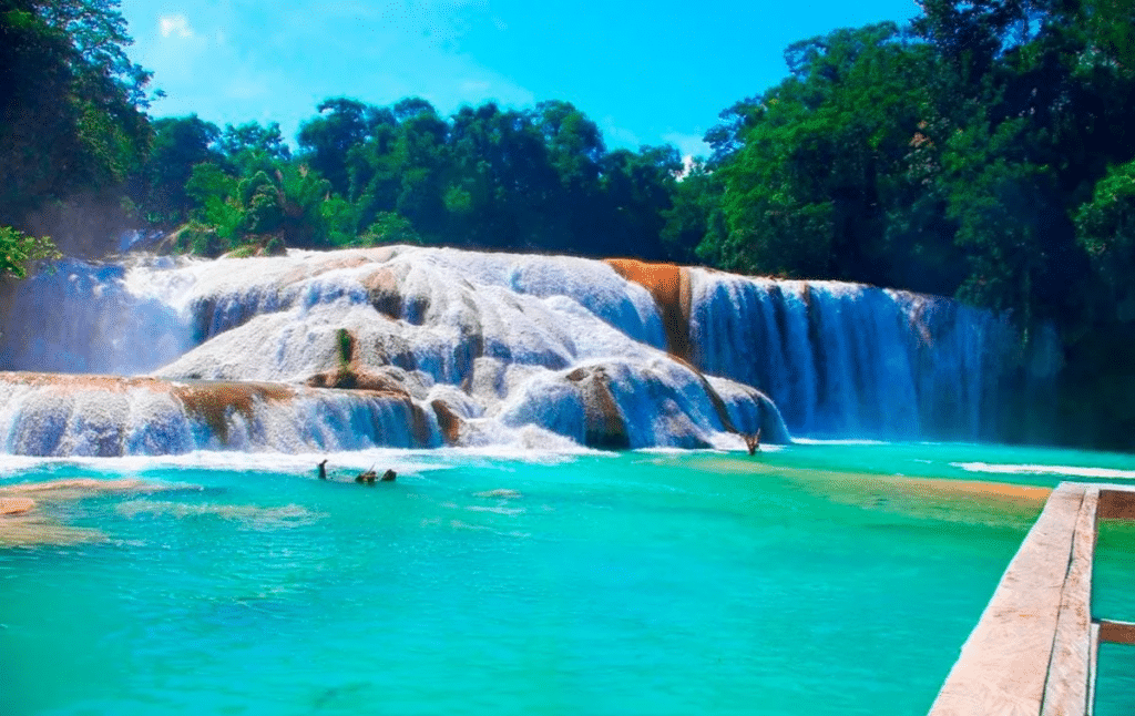 Cascade Agua Azul à Chiapas au Mexique