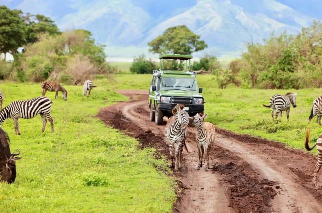 Safarai en Tanzanie au Parc Ngorongoro