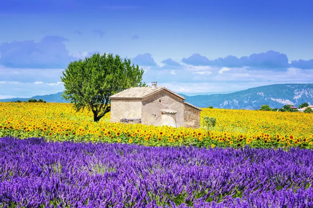 partir en vacances d'été en Provence
