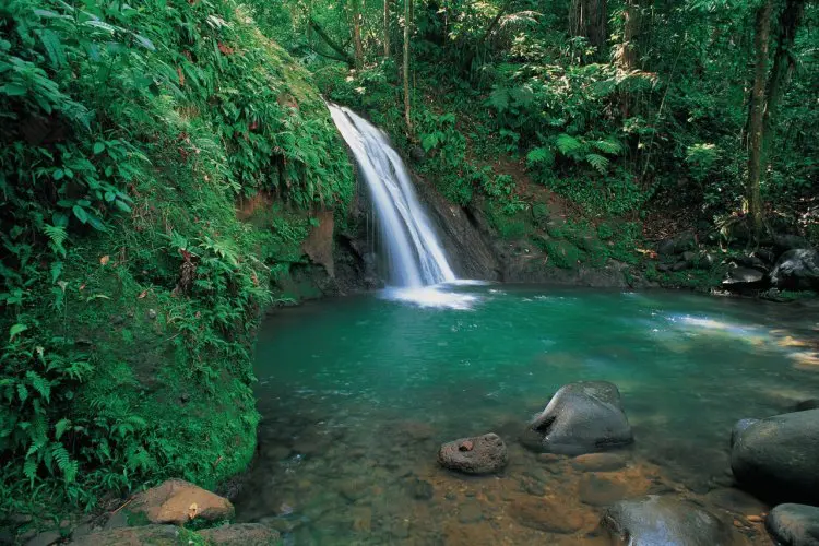 Que faire en Guadeloupe : Visiter la Cascade aux Écrevisses