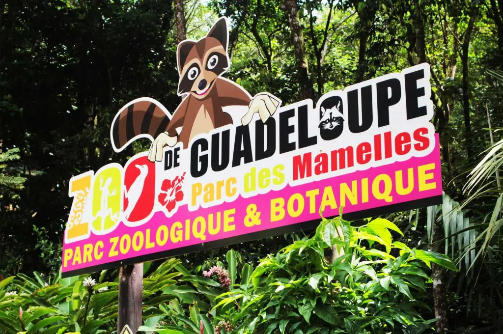 Parc Zoologique de Guadeloupe : ce qu'il faut faire et visiter