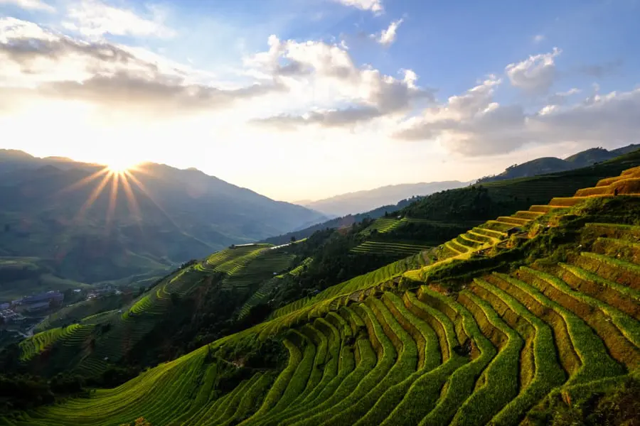 Paysage rizière nord vietnam , destination sans quarantaine