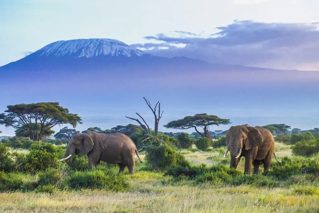 Mont Kilimanjaro en Tanzanie