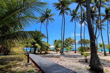 activités touristiques à faire en Guadeloupe