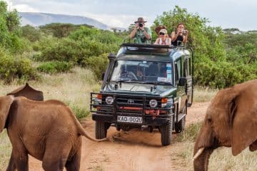 Faire un Safari en Famille en Afrique