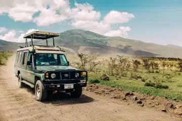 Préparer un safari en Tanzanie : Afrique de l'est