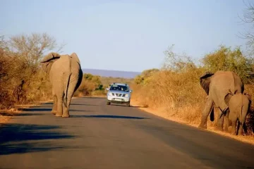 Faire un road trip en Afrique du Sud