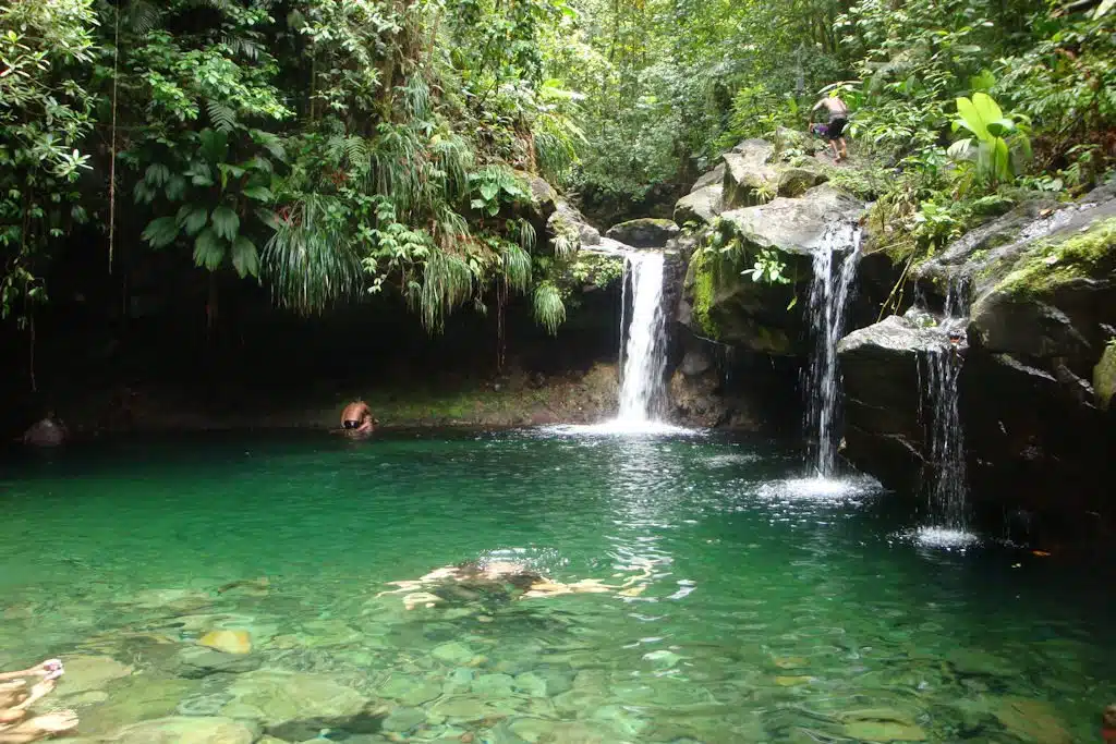 Cascade Paradis en Guadeloupe : les meilleurs cascade à visiter lors de son voyage 