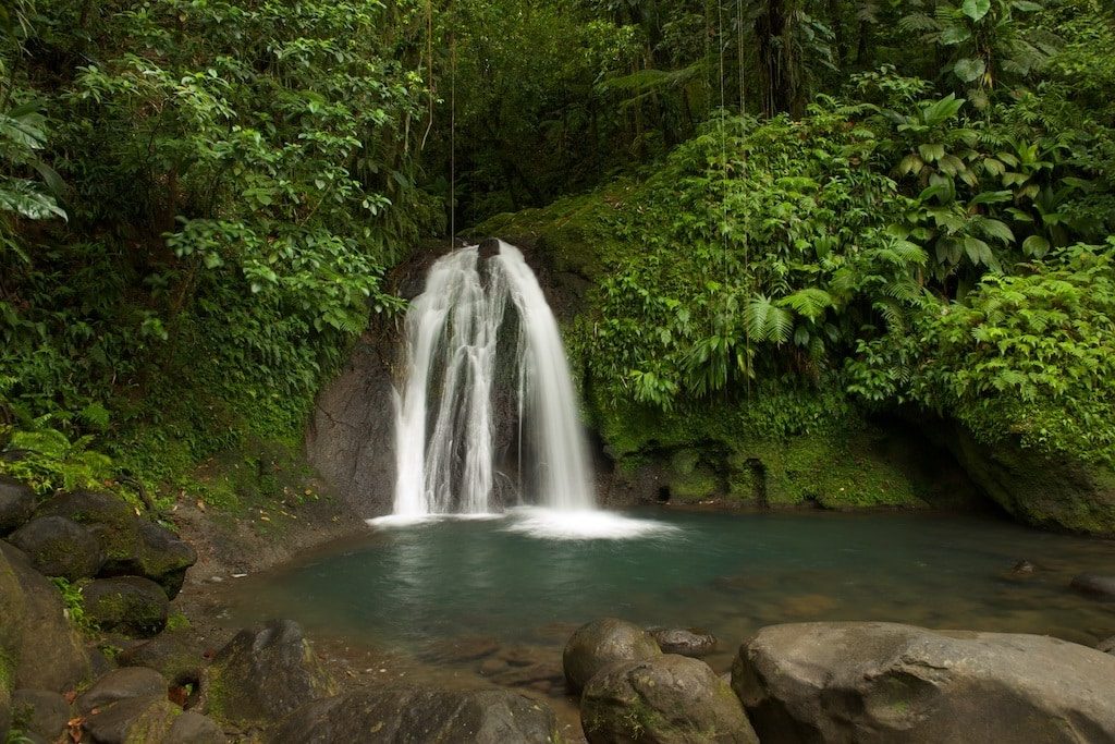 Parc national de Guadeloupe à Basse-terre
