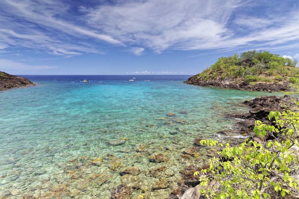 La réserve Cousteau en Guadeloupe - Bouillante