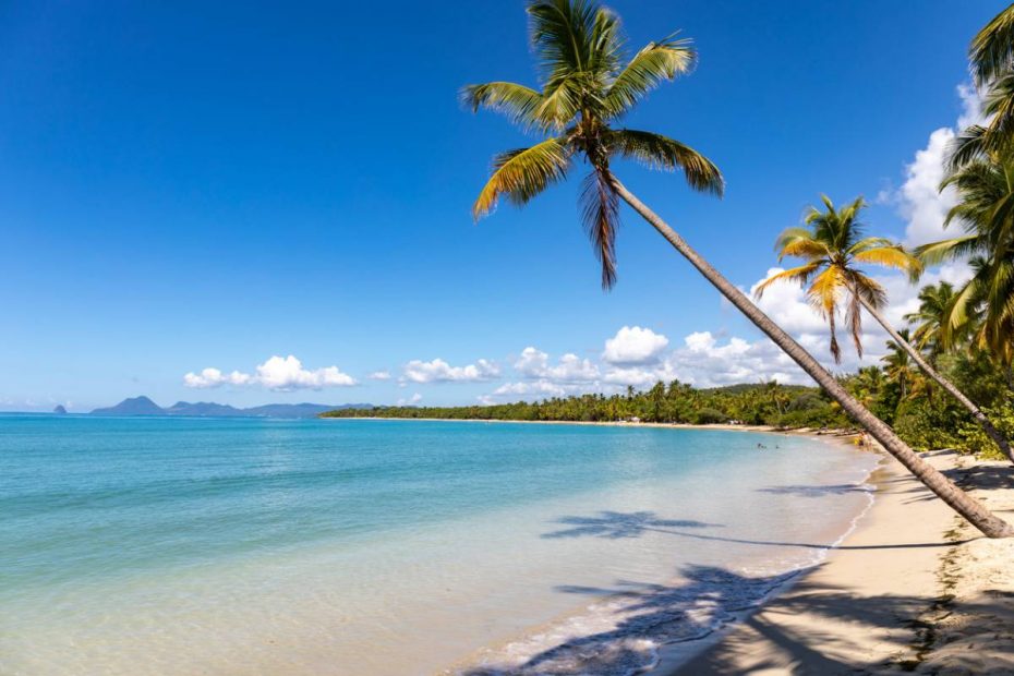 Location vacances en Martinique
