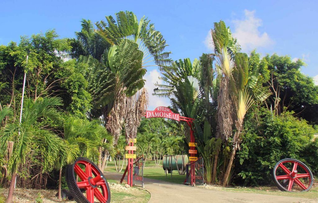 Distillerie du Moule : Damoiseau