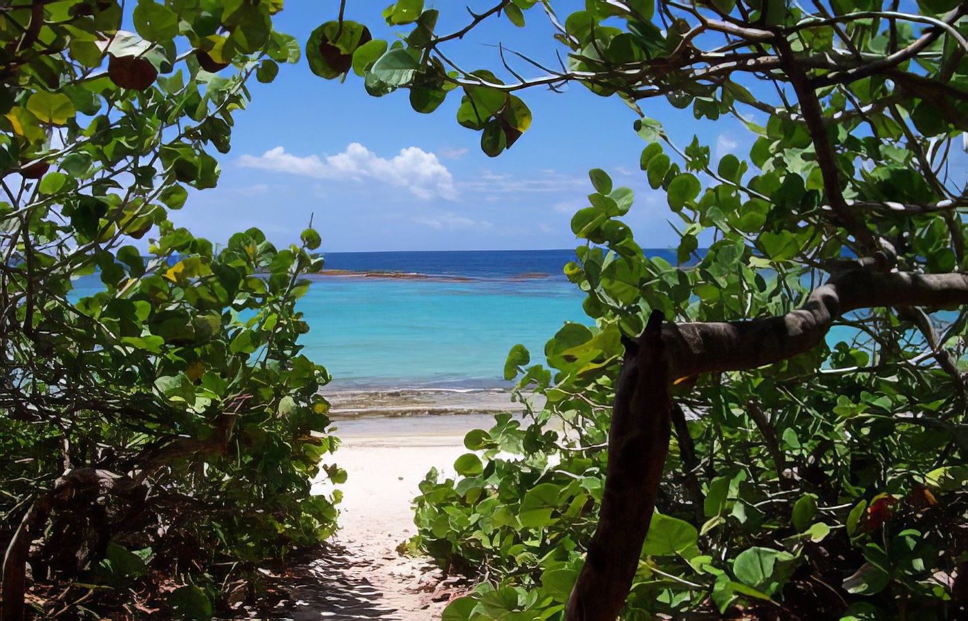 Plage Anse à la Gourde en Guadeloupe