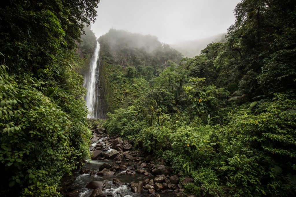 Visiter les chutes du Carbet ( randonnée , excursion)