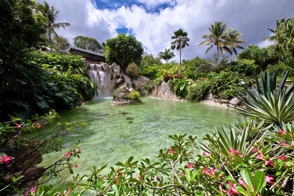 Jardin botanique de Deshaies : lieu touristique à visiter en famille