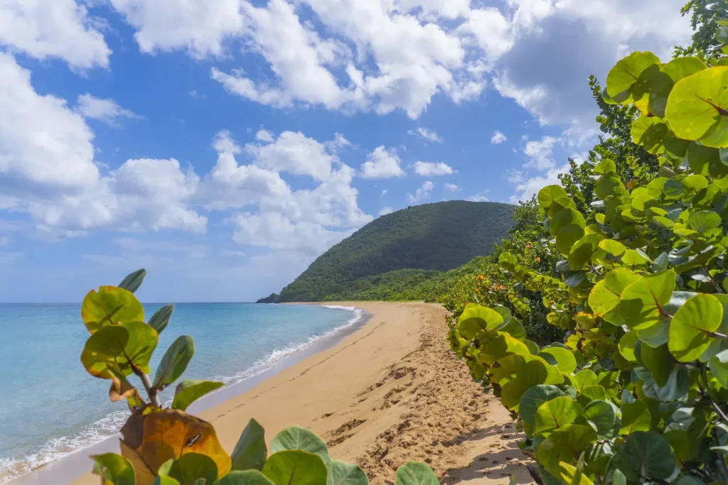 Plage de Grande Anse à Deshiaes Guadeloupe - Basse Terre