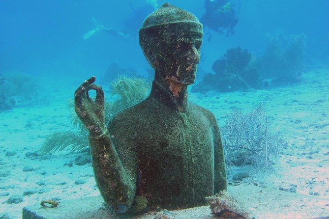 Faire de la plongée sous marine à la Réserve Cousteau ( excursion)