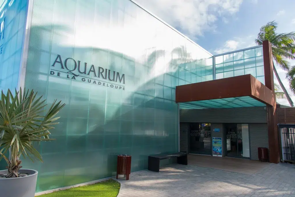 Aquarium en Guadeloupe