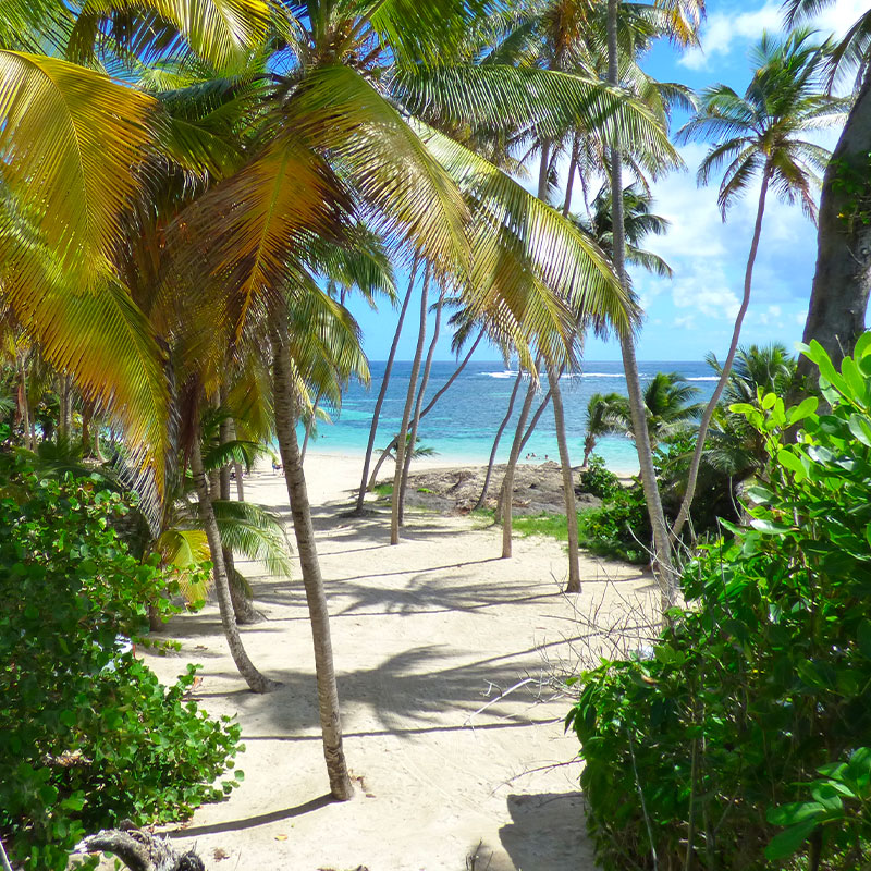 Belle plage martinique