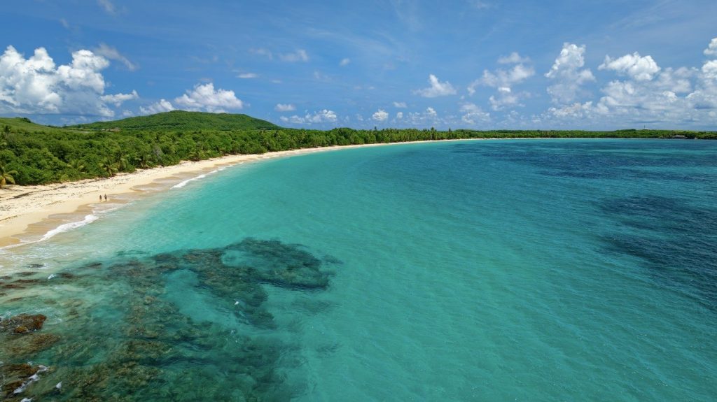 Plage de Grande Anse des Salines , Martinique