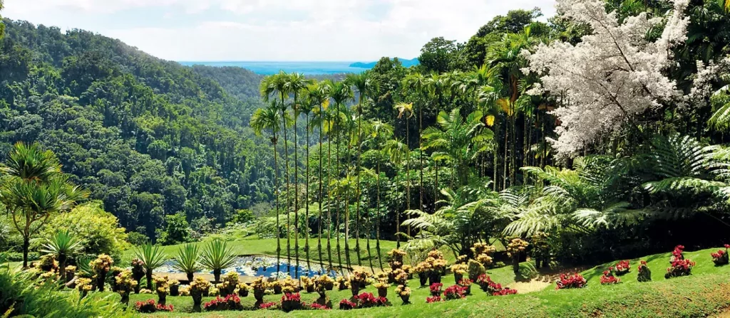 Jardin botanique en Martinique