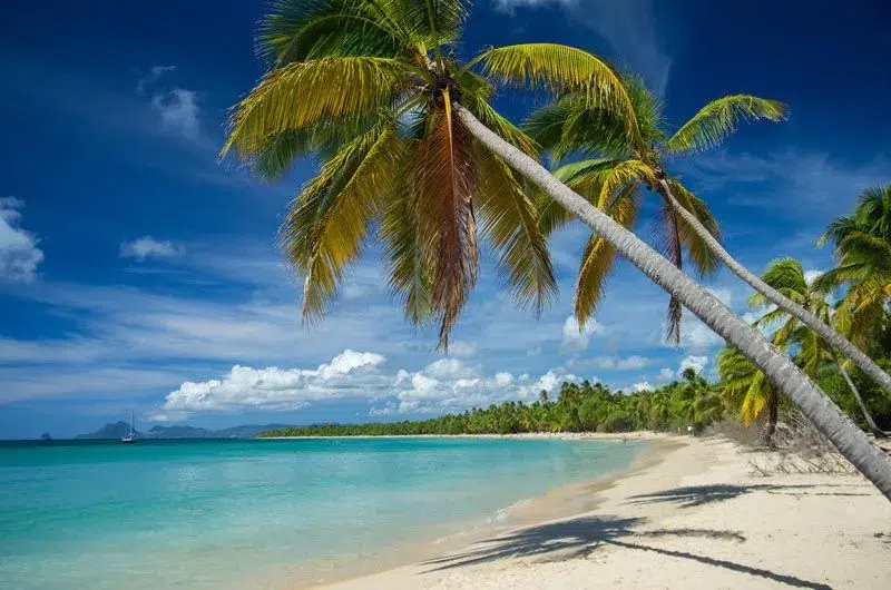Belle plage en Martinique