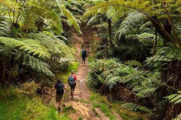 Voyage en famille à la Réunion