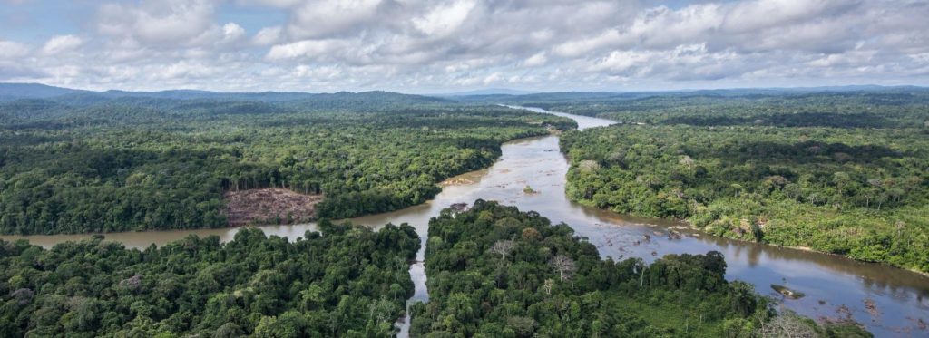 Ce qu"il faut savoir avant de visiter le parc amazonien de Guyane