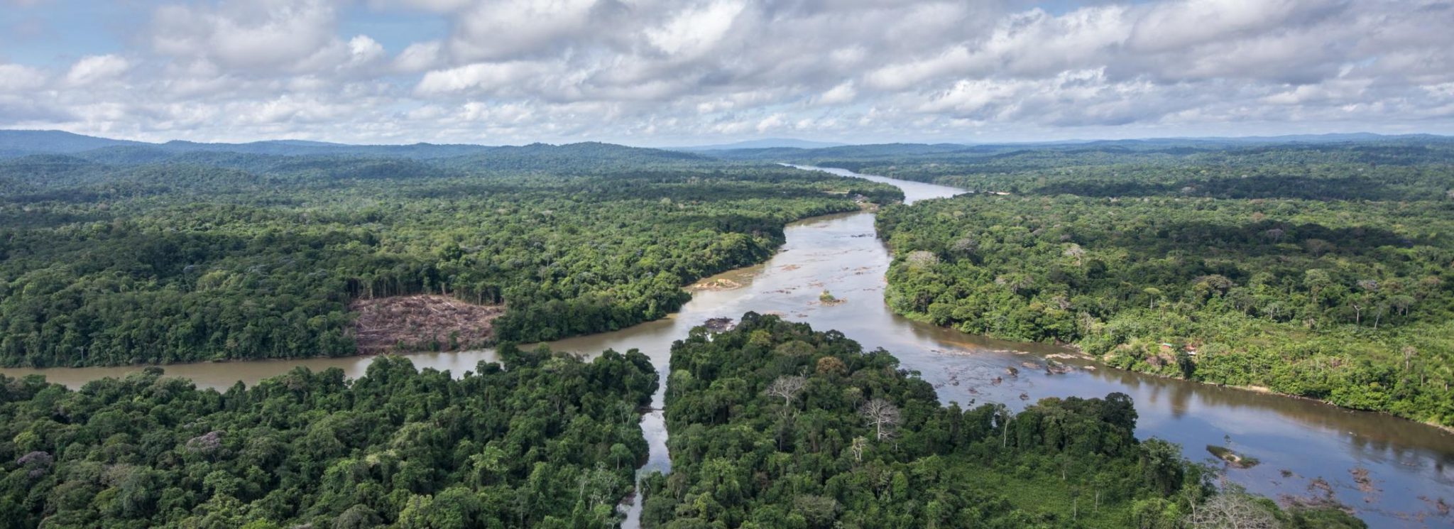 Parc Amazonien de Guyane : accès, zones et que voir